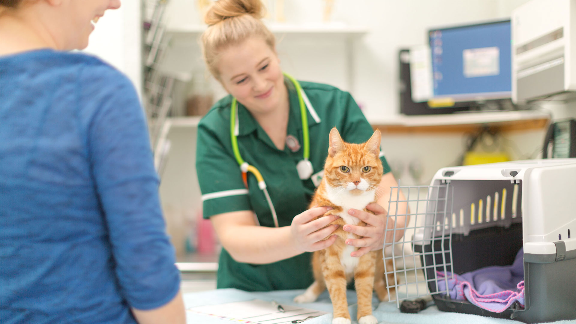 Veterinary Services | Local Vets in Peterborough - Hampton Vets