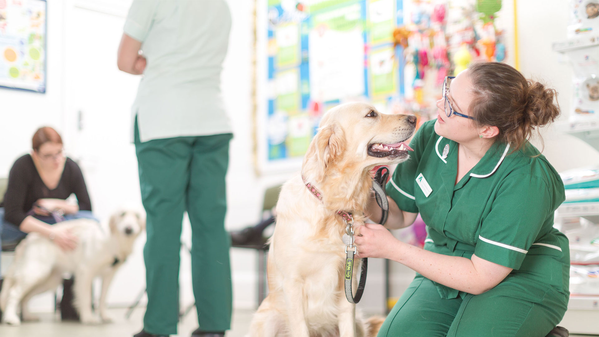 About Us Local Vets in Peterborough Hampton Vets