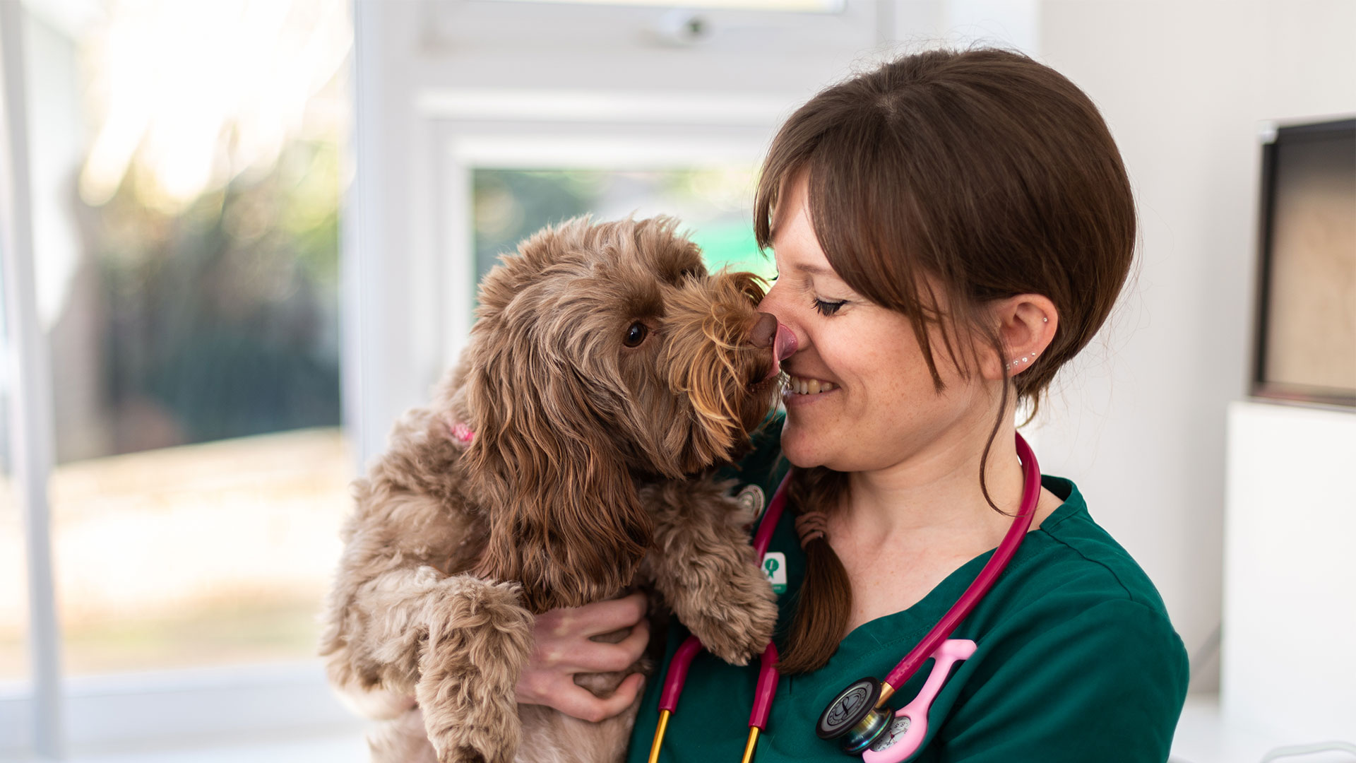 Contact Pets 1st Vets Vets in Surrey Pets 1st Vets