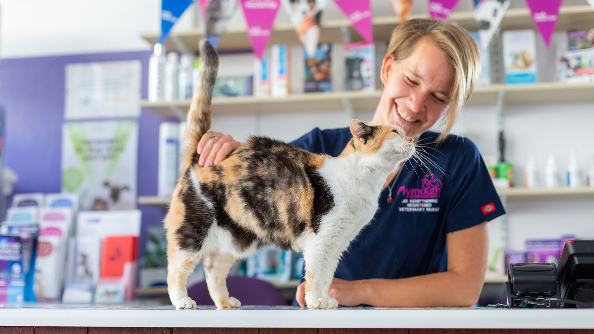 Blog Plymouth Veterinary Group Local Vets in Plymouth The