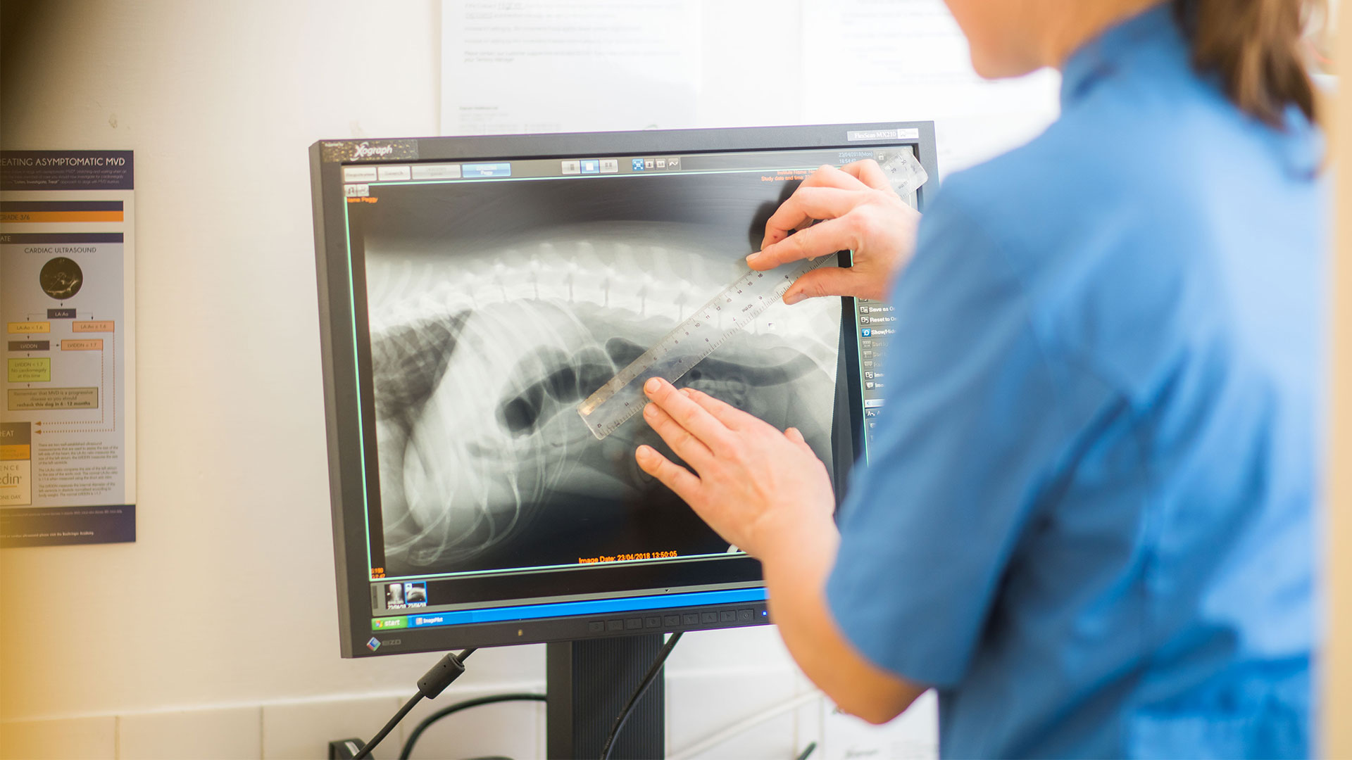 Diagnostic Imaging Local Vets in Plymouth Plymouth Vet Group