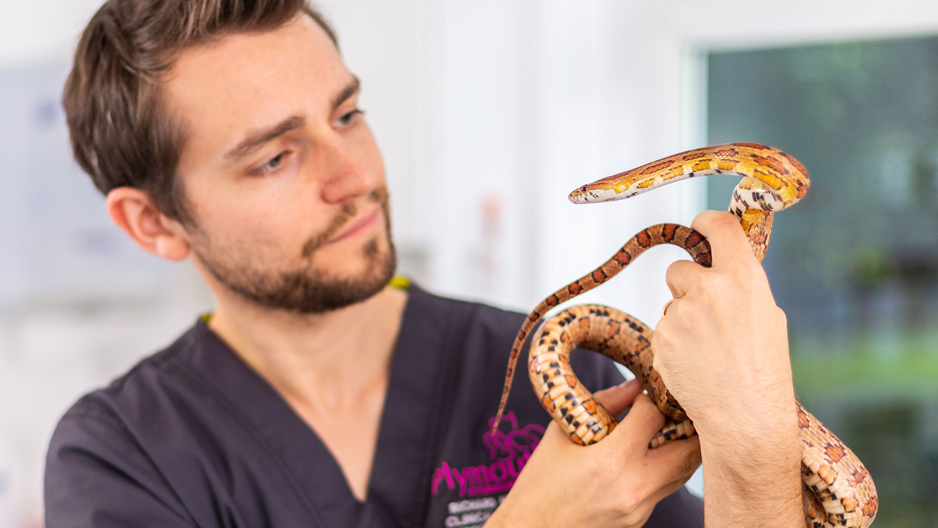 Exotics Local Vets in Plymouth Plymouth Vet Group