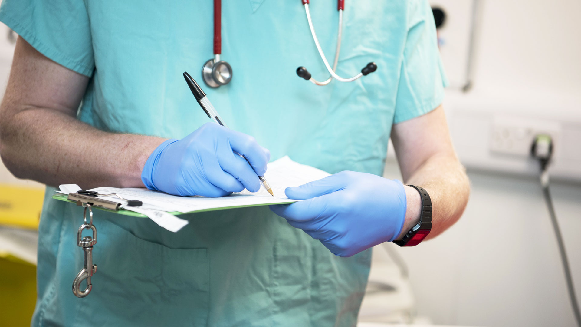 Pet Care Services In Plymouth Plymouth Vets Plymouth Vet Group