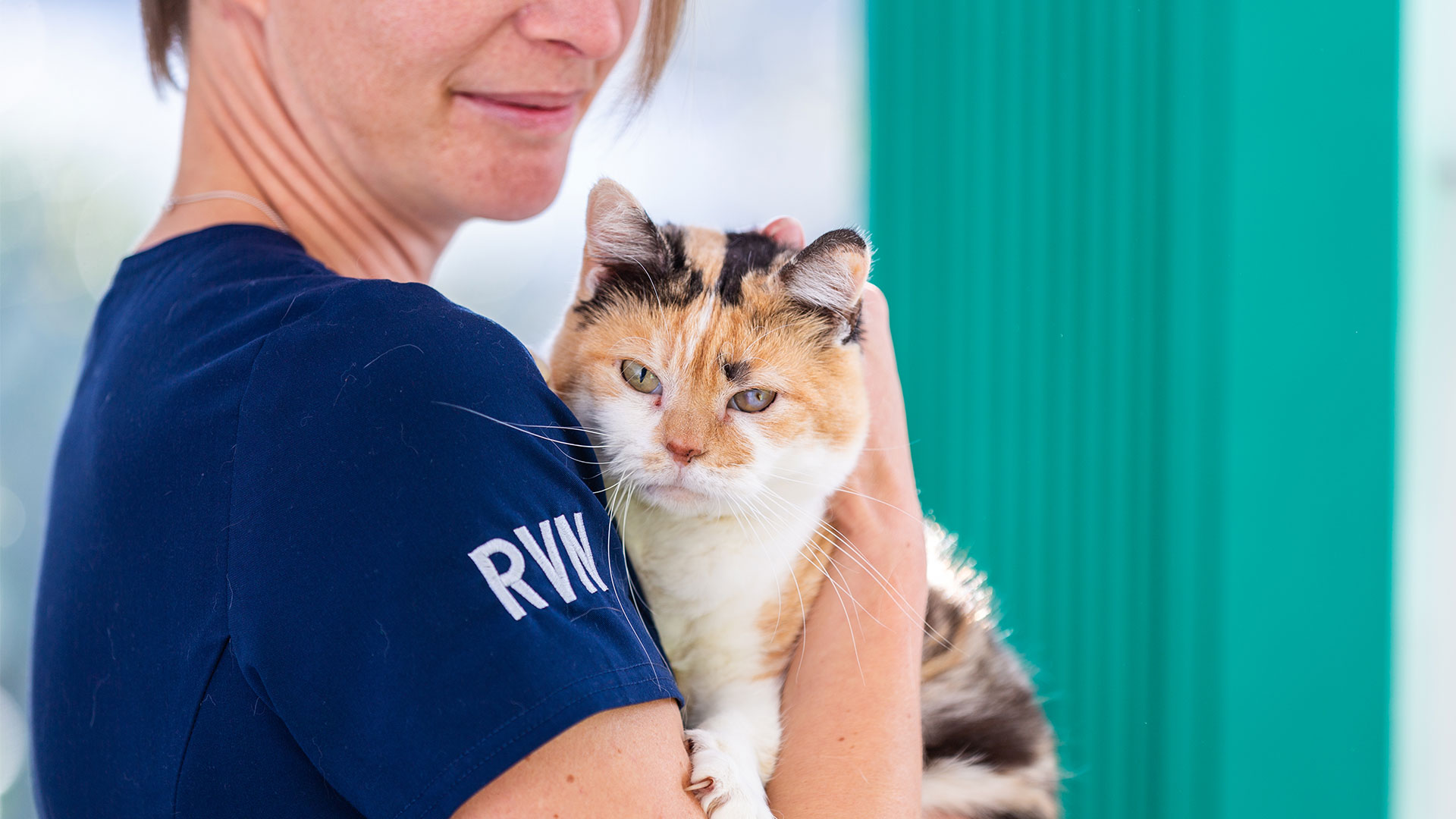 Pet Care Services In Plymouth Plymouth Vets Plymouth Vet Group