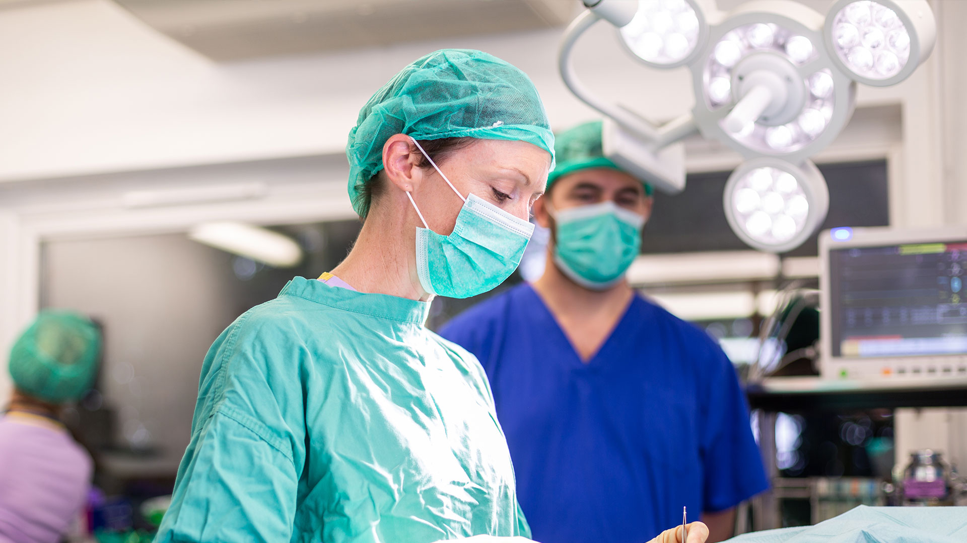 Pet Surgery Local Vets in Plymouth Plymouth Vet Group