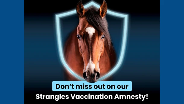 strangles vaccination offer