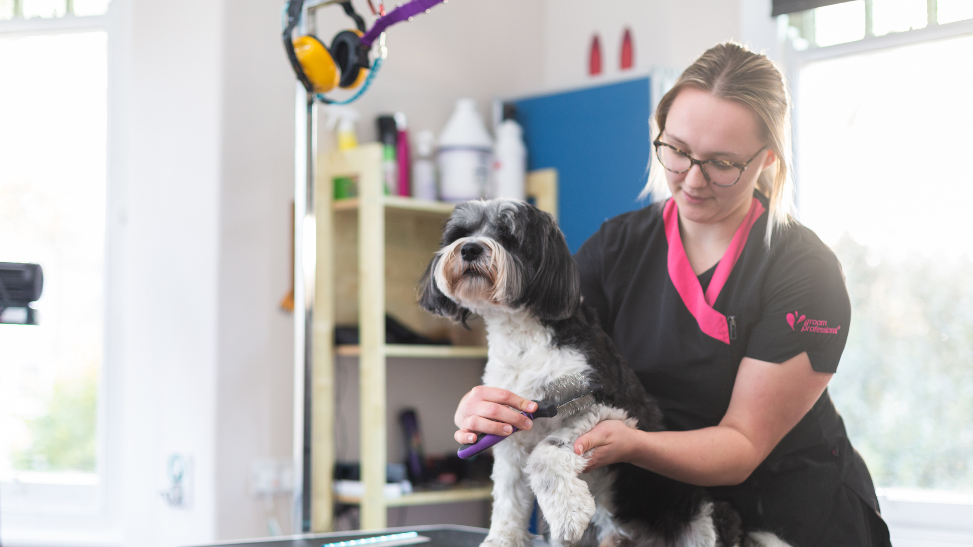 Barks and Bubbles Local Vets in Portishead Vale Vets Portishead