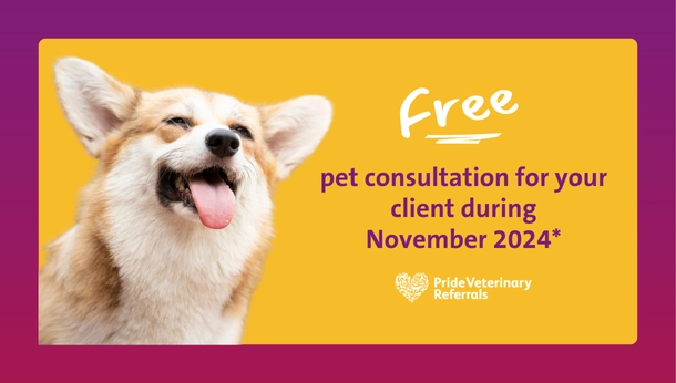 Free-Pet-Consultation