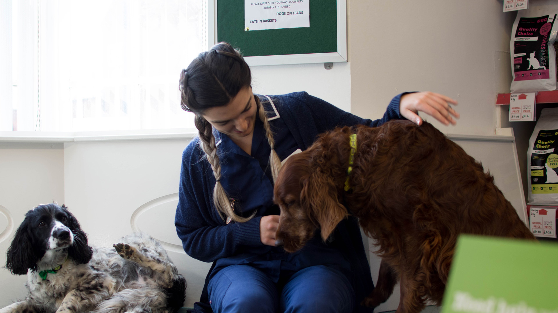 Contact Vets in East Yorkshire Local Vets Priory Vet