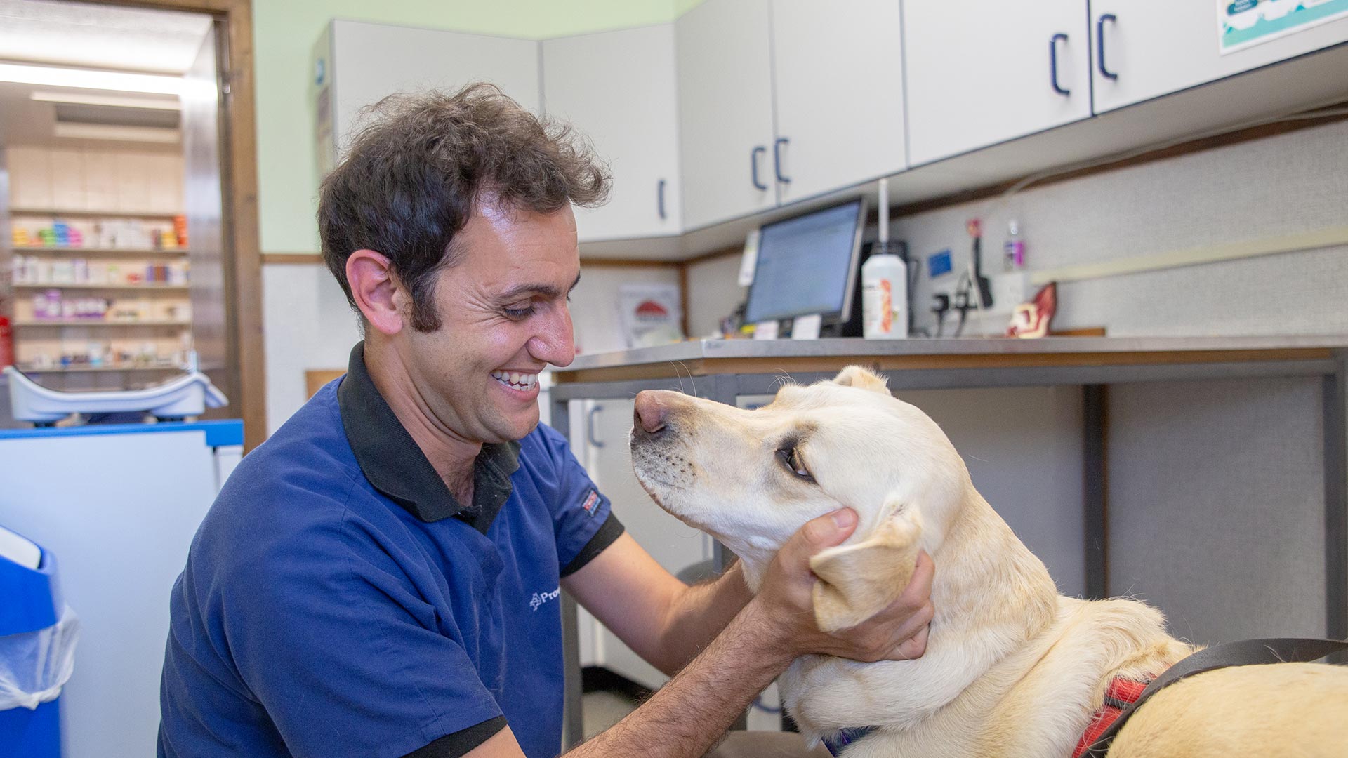 About Provost Vets in St Andrews and Fife Your Local Vet Provost Vets