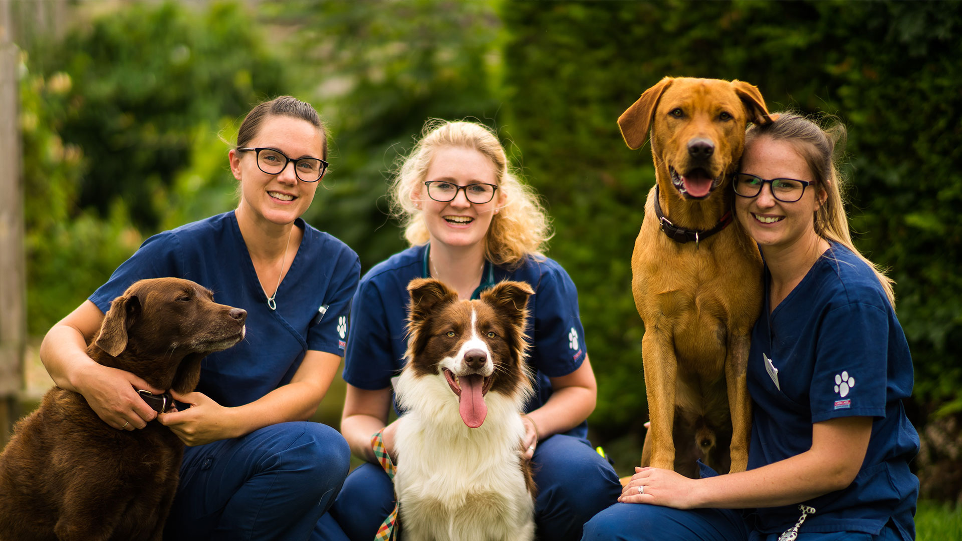 Meet your local vets team Purton Vets in Swindon and Cricklade