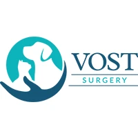 VOST - Visiting Specialist