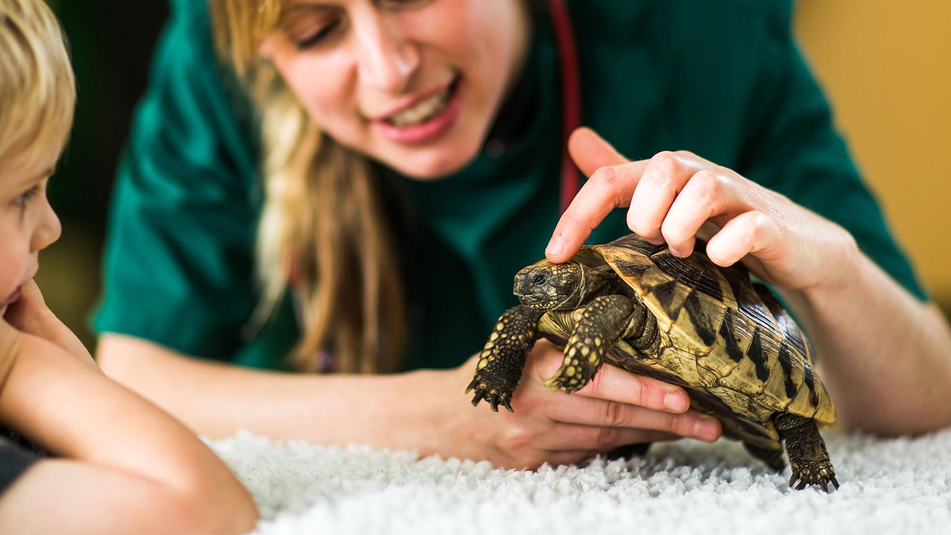 Reptile and Bird Vet in Northampton - Rhodes Vets