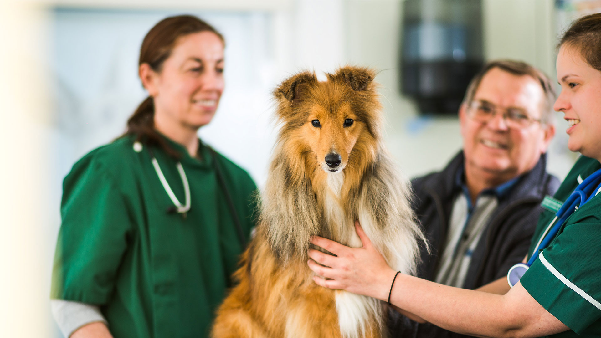 Veterinary Services Local Vets in Northampton Rhodes Vets