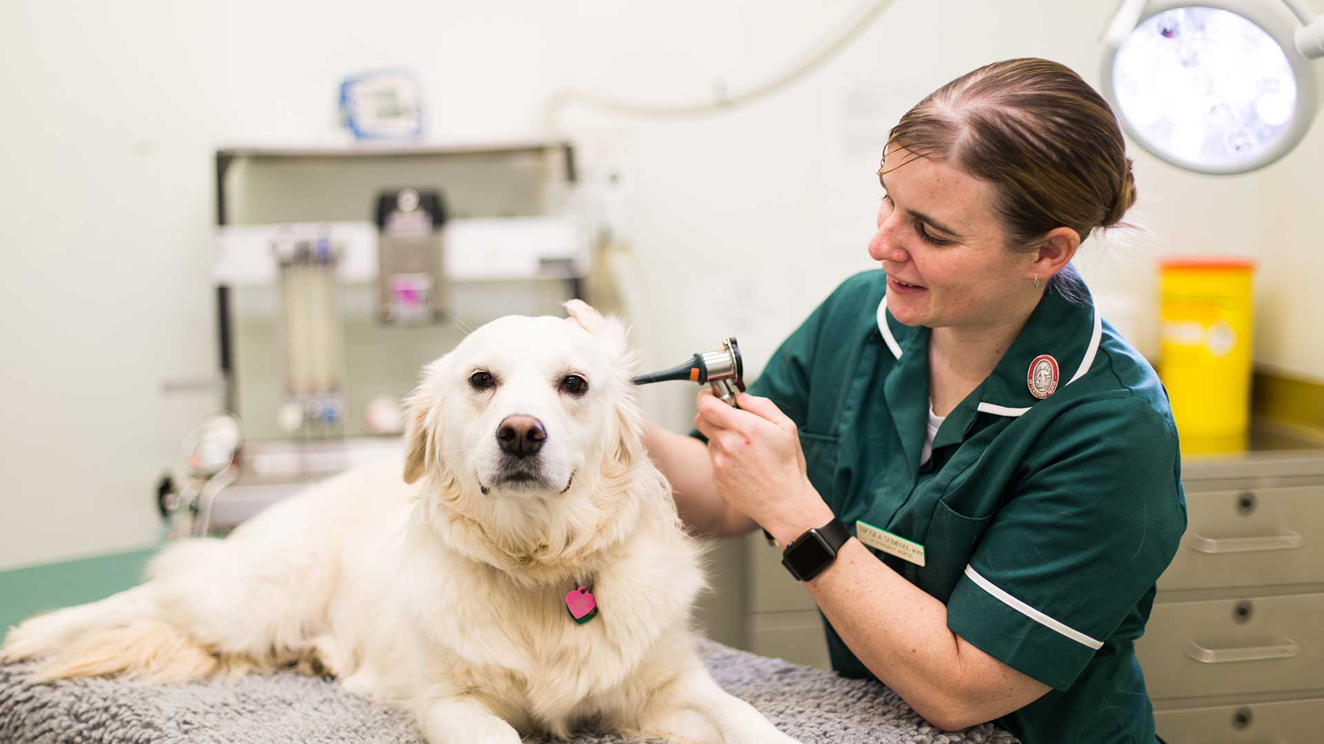 Facilities at Local Vets in Wrexham Rhyd Broughton