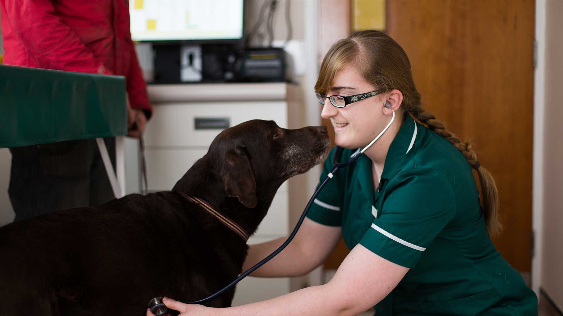 Offers Local Vets in Wrexham Rhyd Broughton