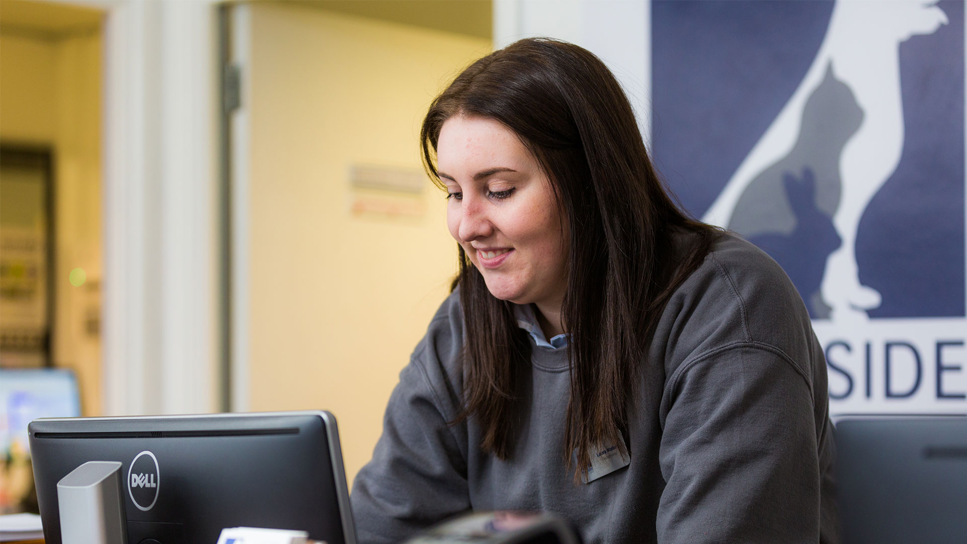 Our FAQs Local Vets in Belper Riverside Veterinary Centre