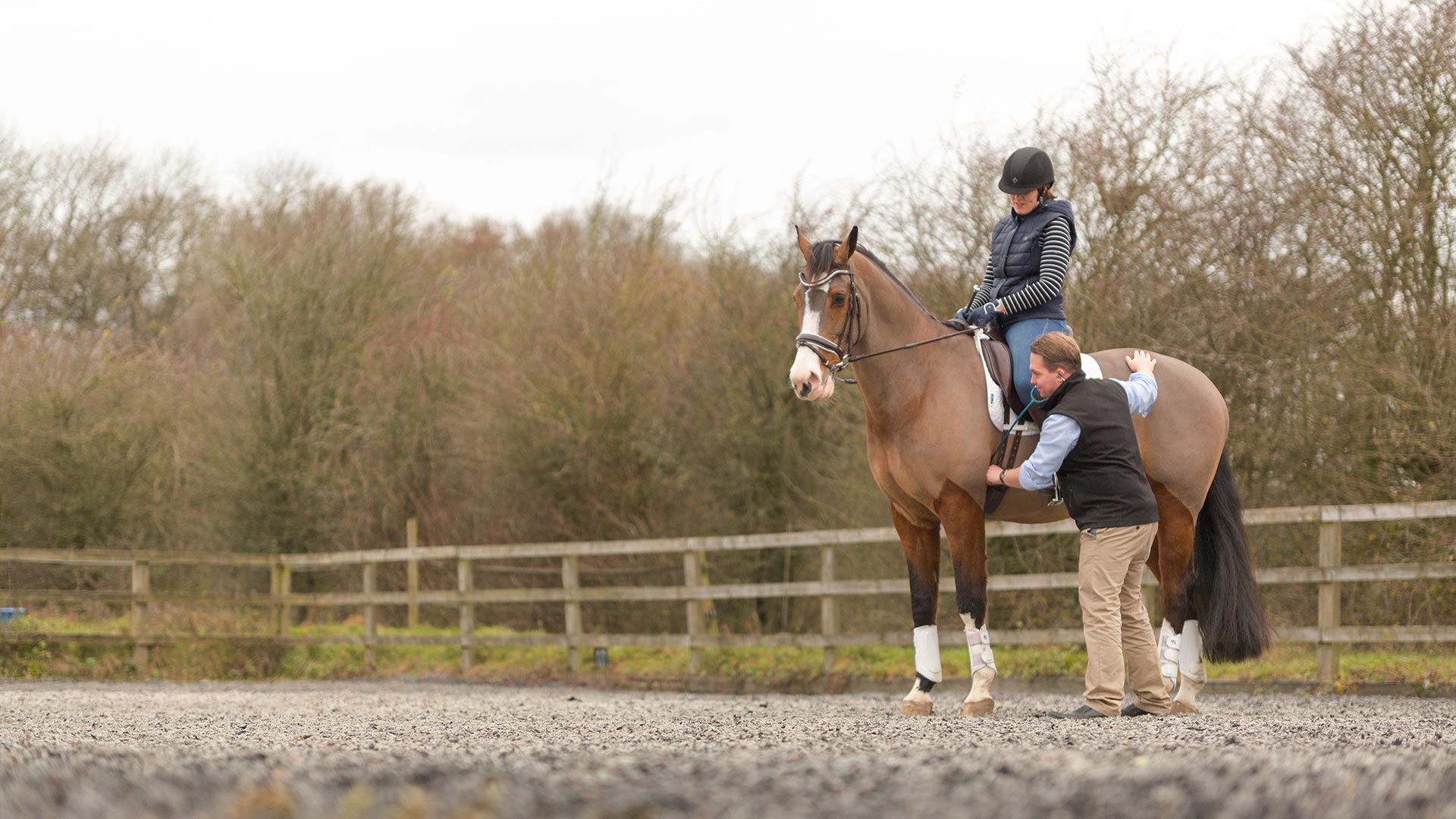 equine-services-robson-prescott-vets-vets-in-northumberland-robson-and-prescott