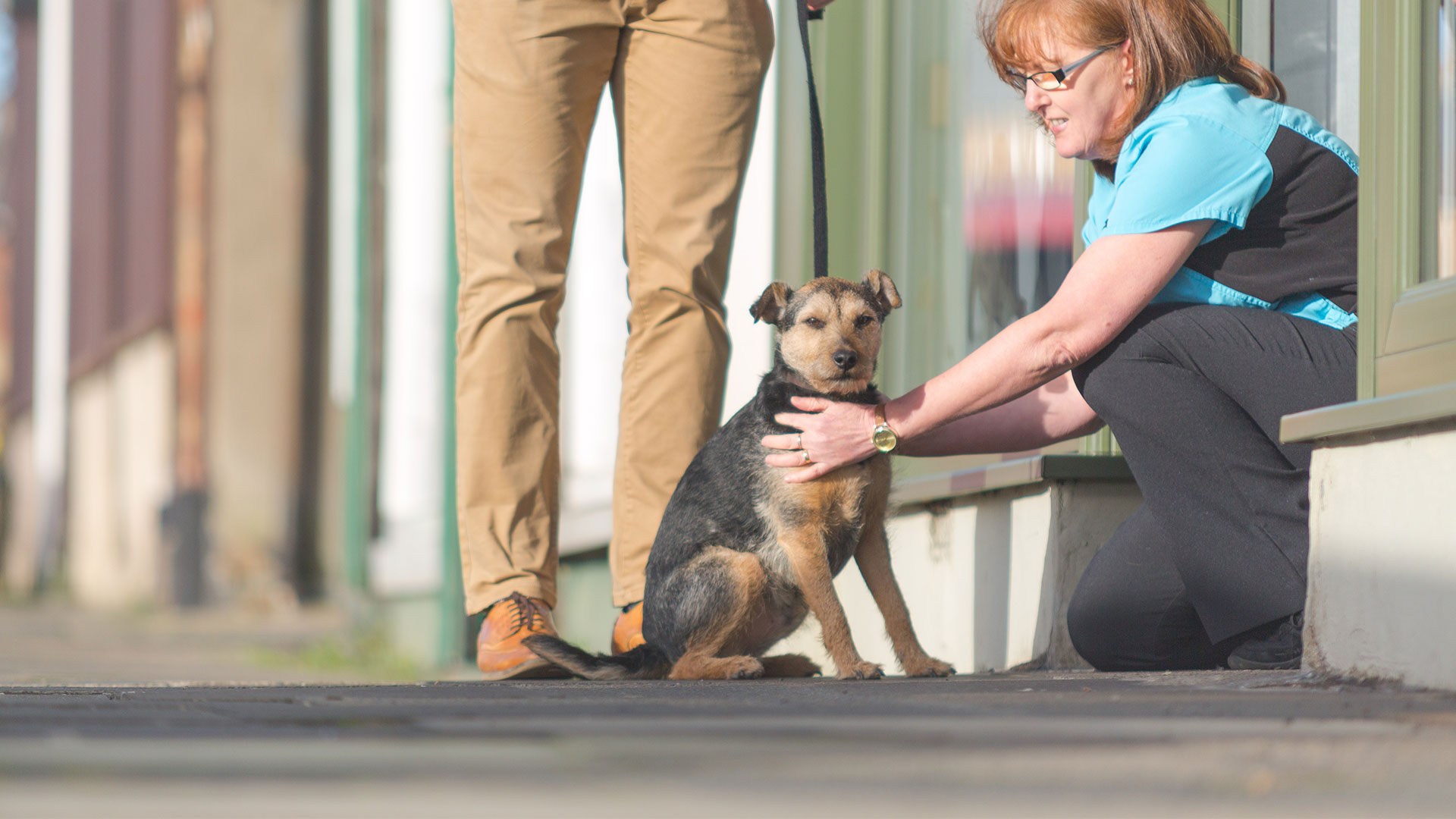 How We Work Robson & Prescott Vets in Northumberland Robson and