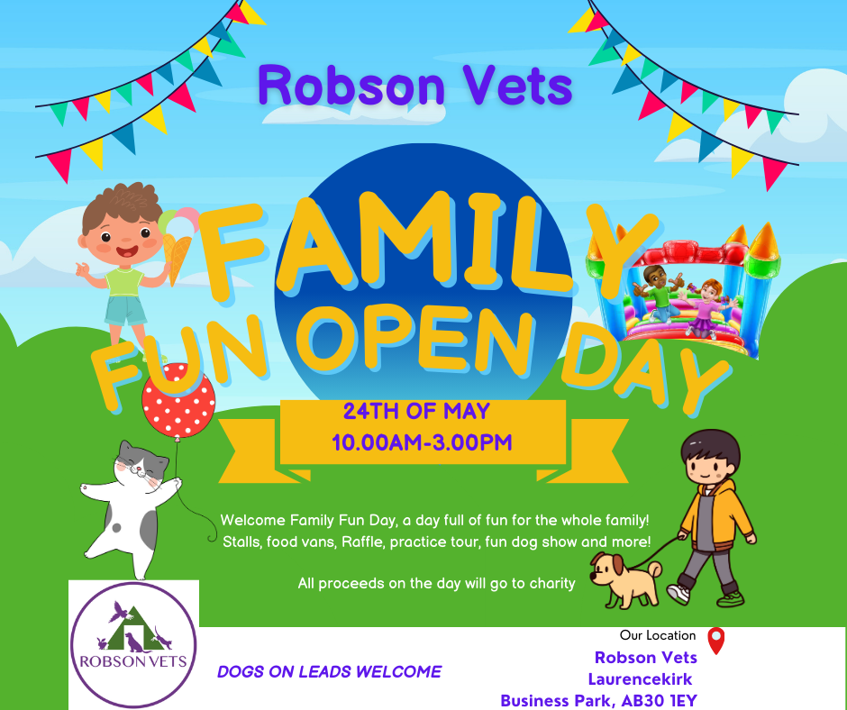Fun Open Day
