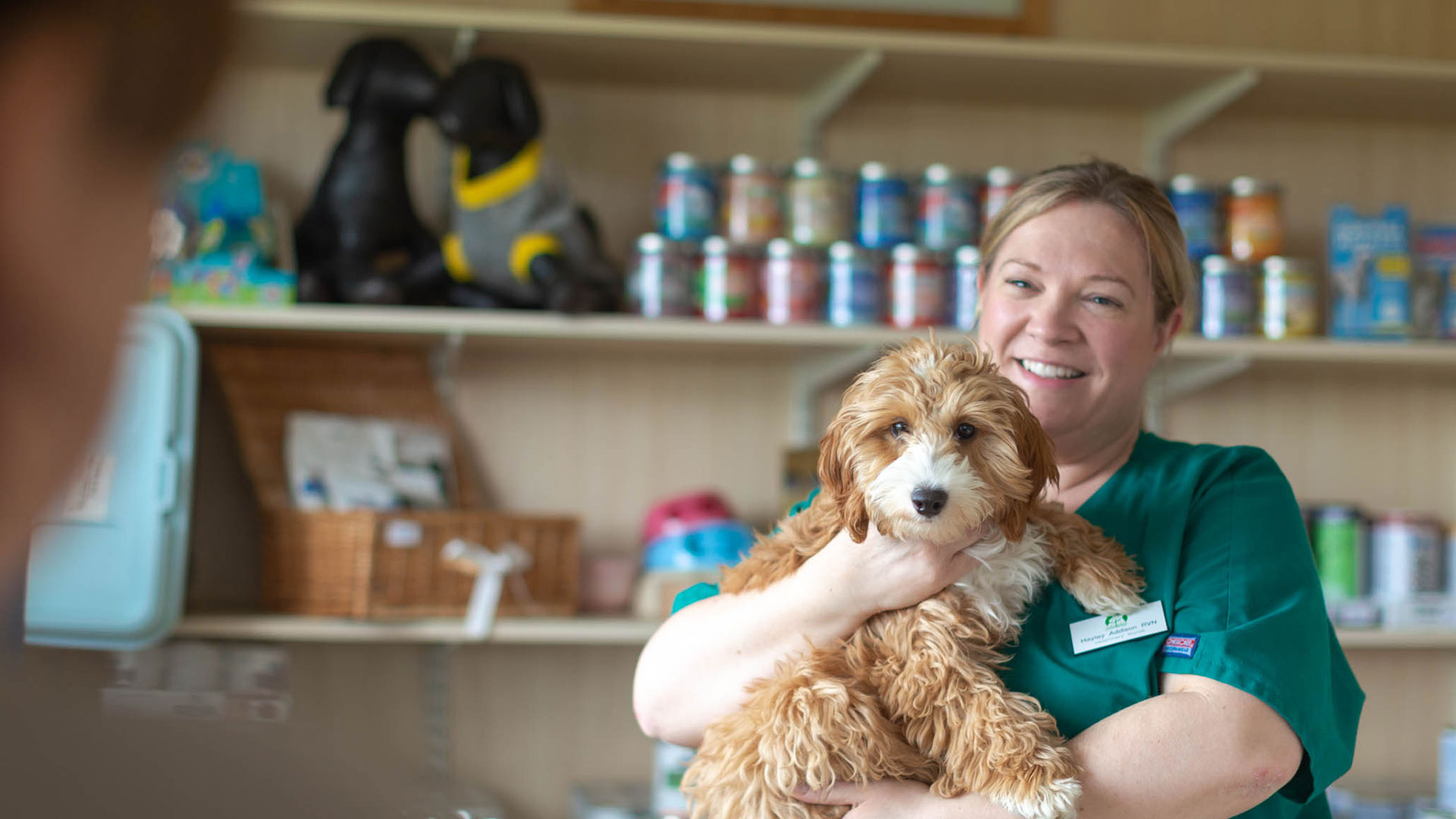 Blog Page Vets in Enfield Rosemary Avenue Vet Clinic