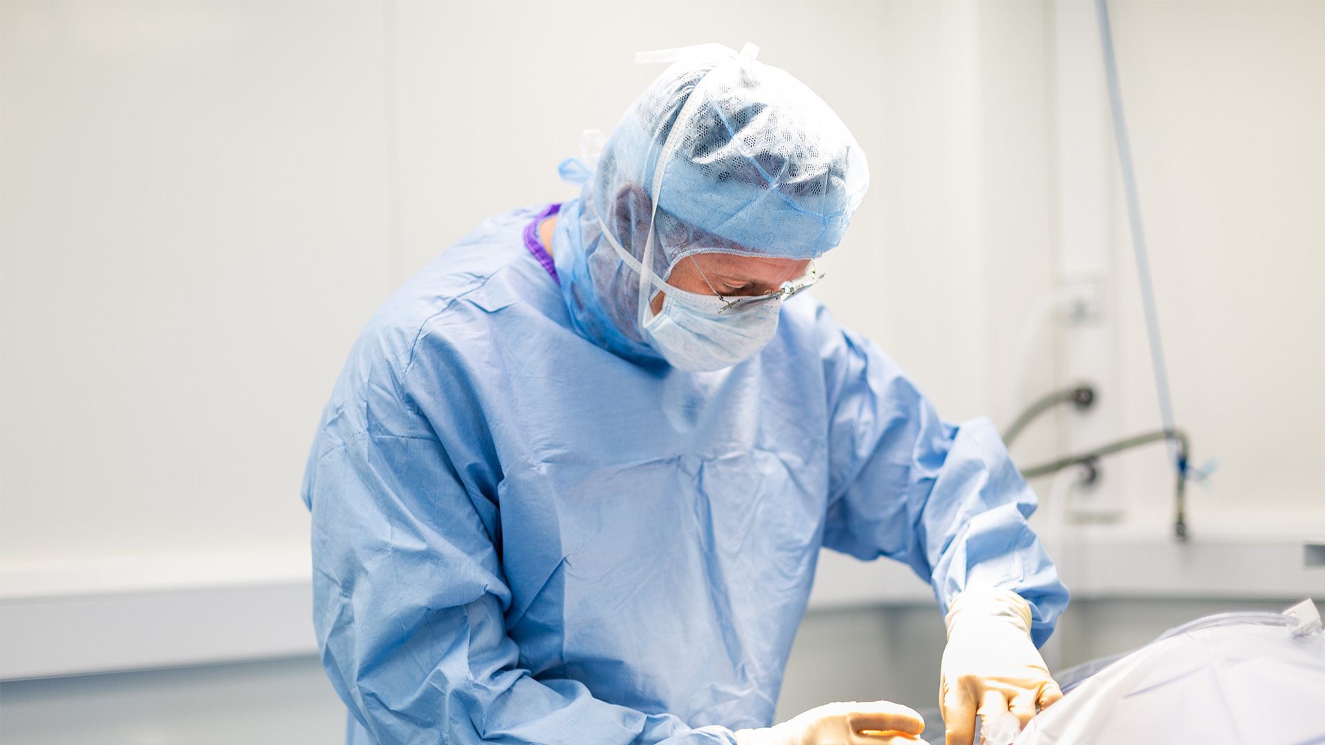 Orthopaedics Rowe Veterinary Referrals South West Vet Referrals