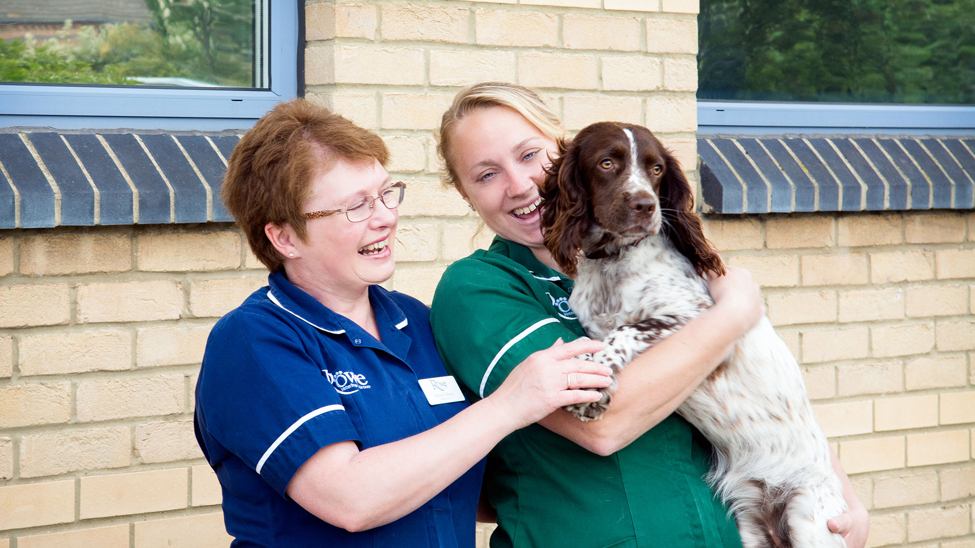 Referral Case Studies Rowe Veterinary Group Rowe Vet Group