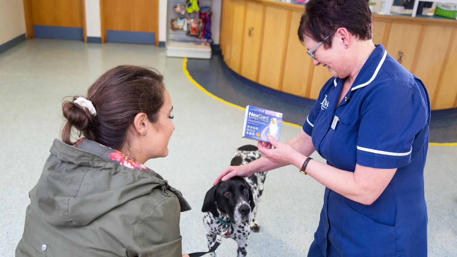 Pet Care Services In Bristol Rowe Veterinary Group Rowe Vet Group