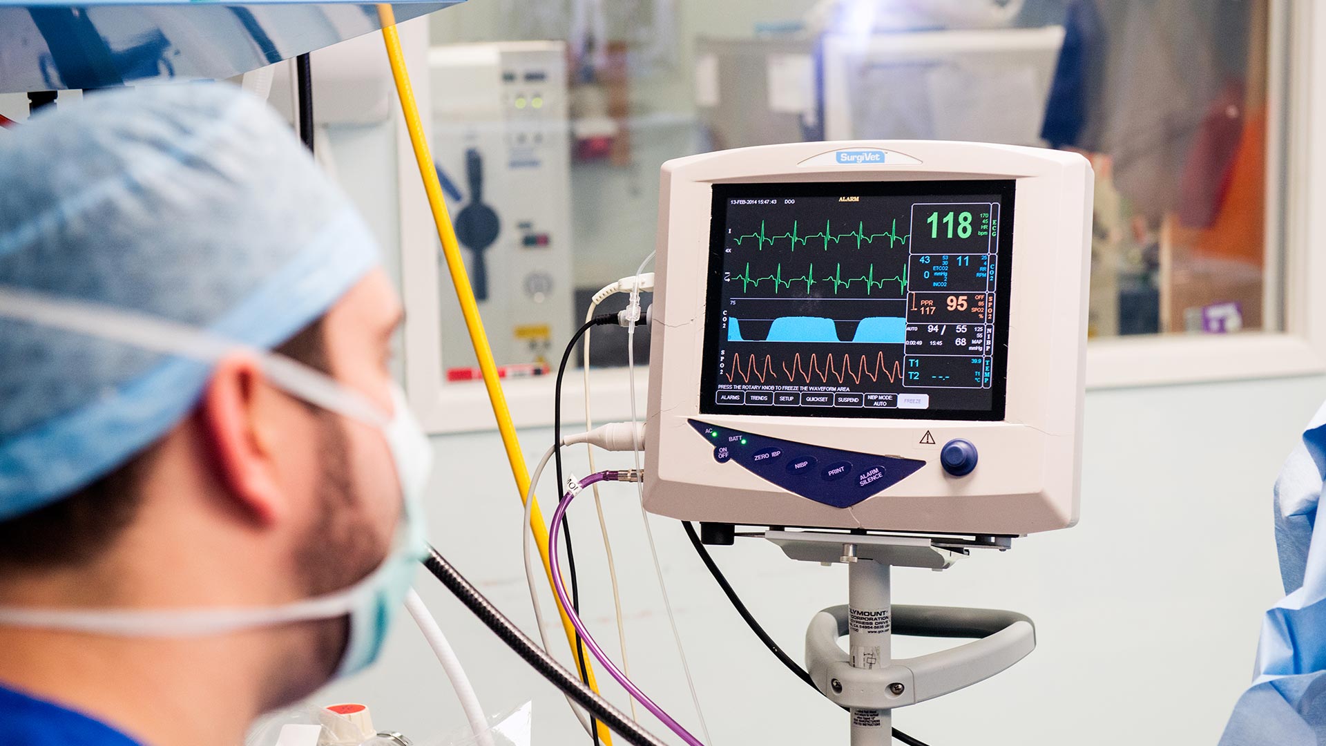 nursing home ringwood