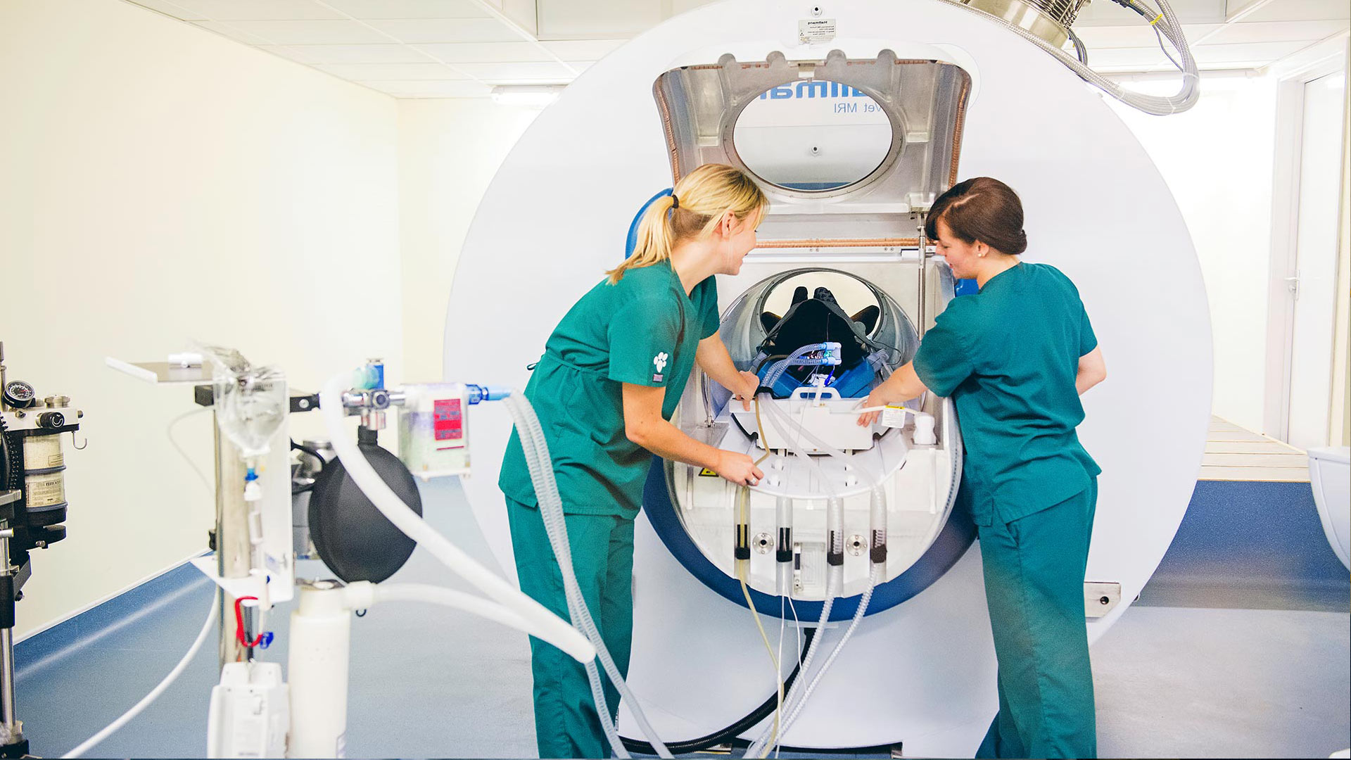 CPD in Ringwood, Hampshire SCVS SCVS