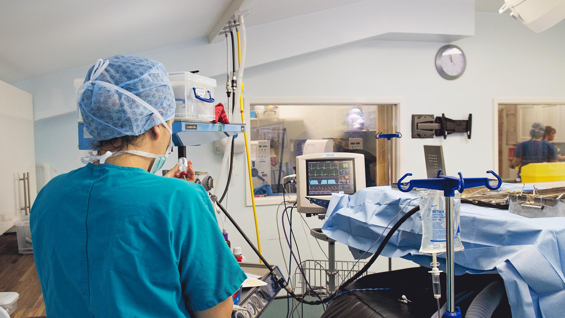 Standard Referral Referral Vets in Ringwood, Hampshire SCVS