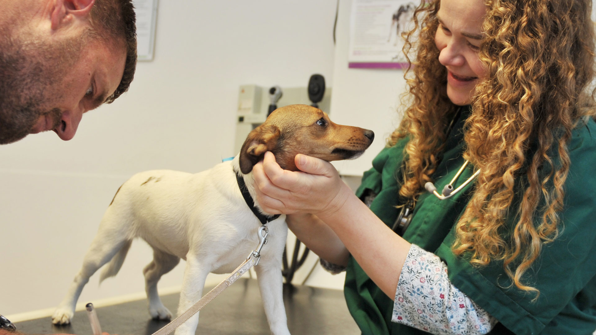 Pet Care Services In Durham Sheriffs Highway Vets Sheriff Highway Vets