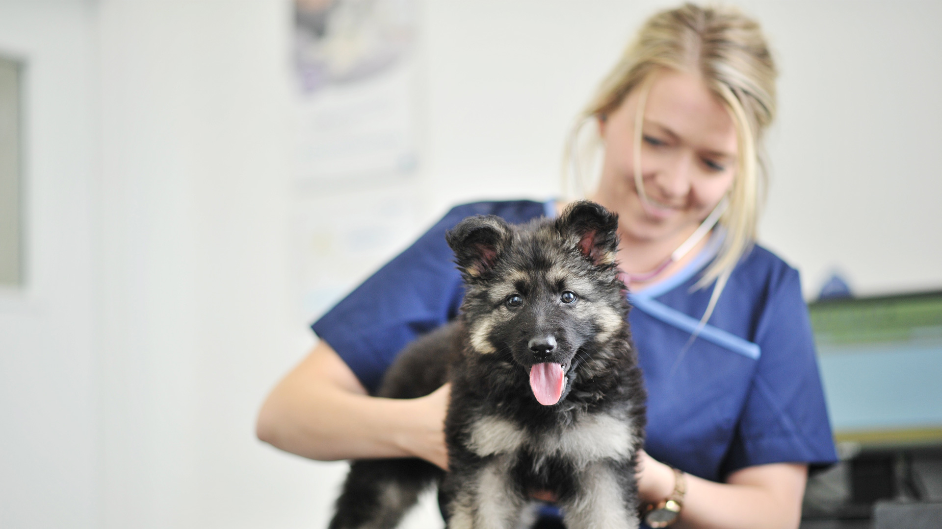 Our Vets & Specialists Durham Sheriffs Highway Vets Sheriff