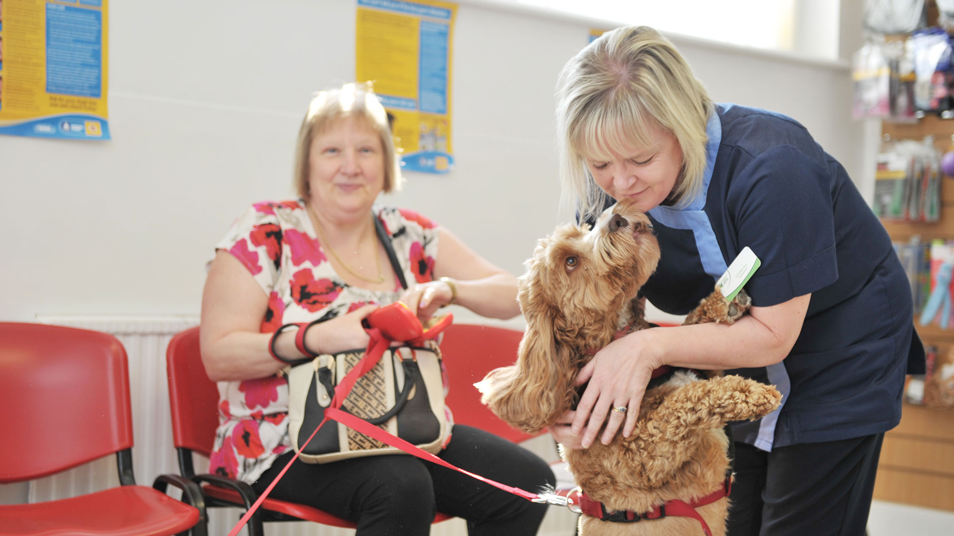 Find Vet Clinics In Gateshead & Wickham Sheriffs Highway Vets