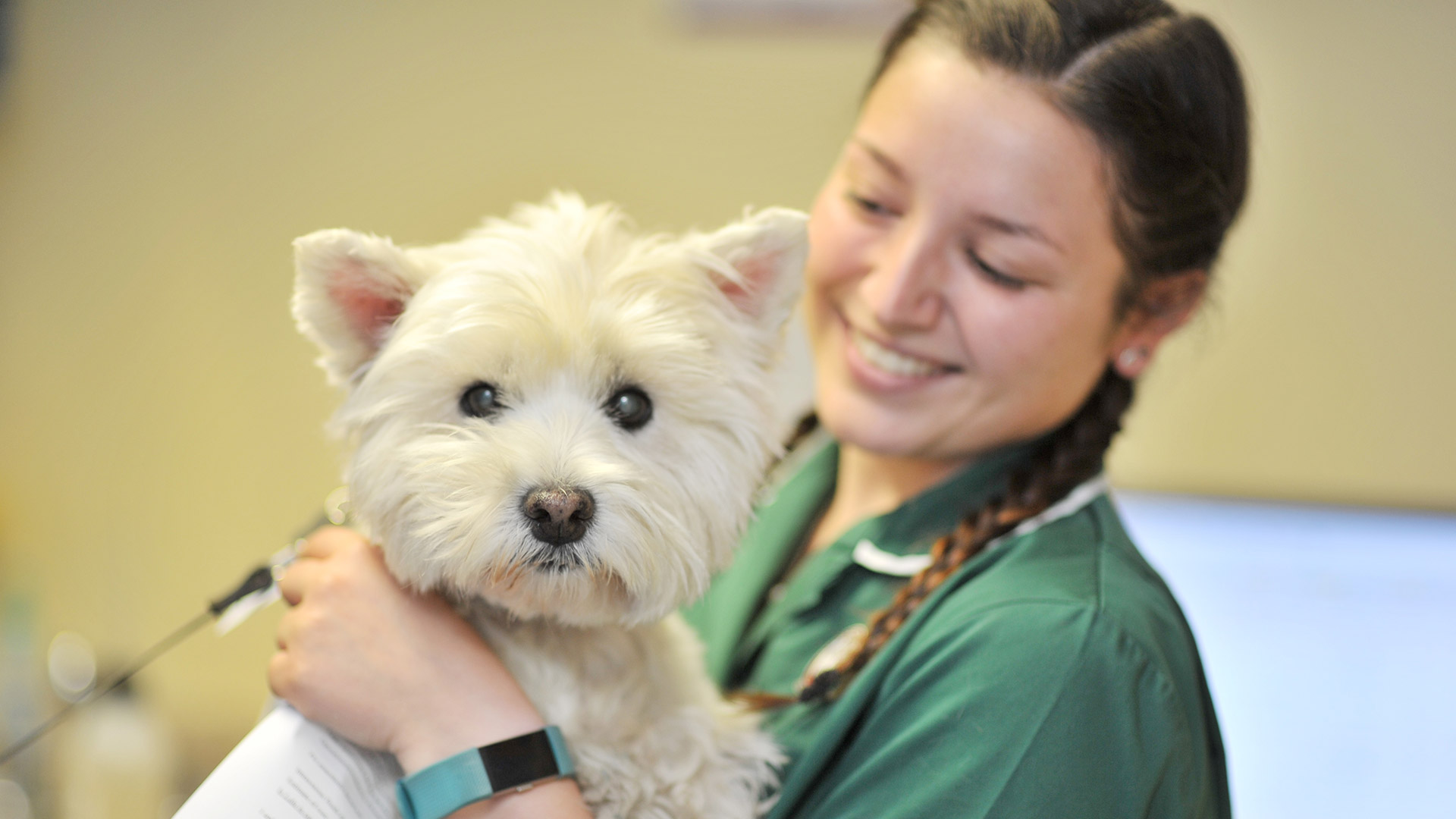 Contact Vets in West Yorkshire Local Vets Shipley Vets