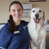 Deirdre Sheehan - Veterinary Surgeon & Cardiologist