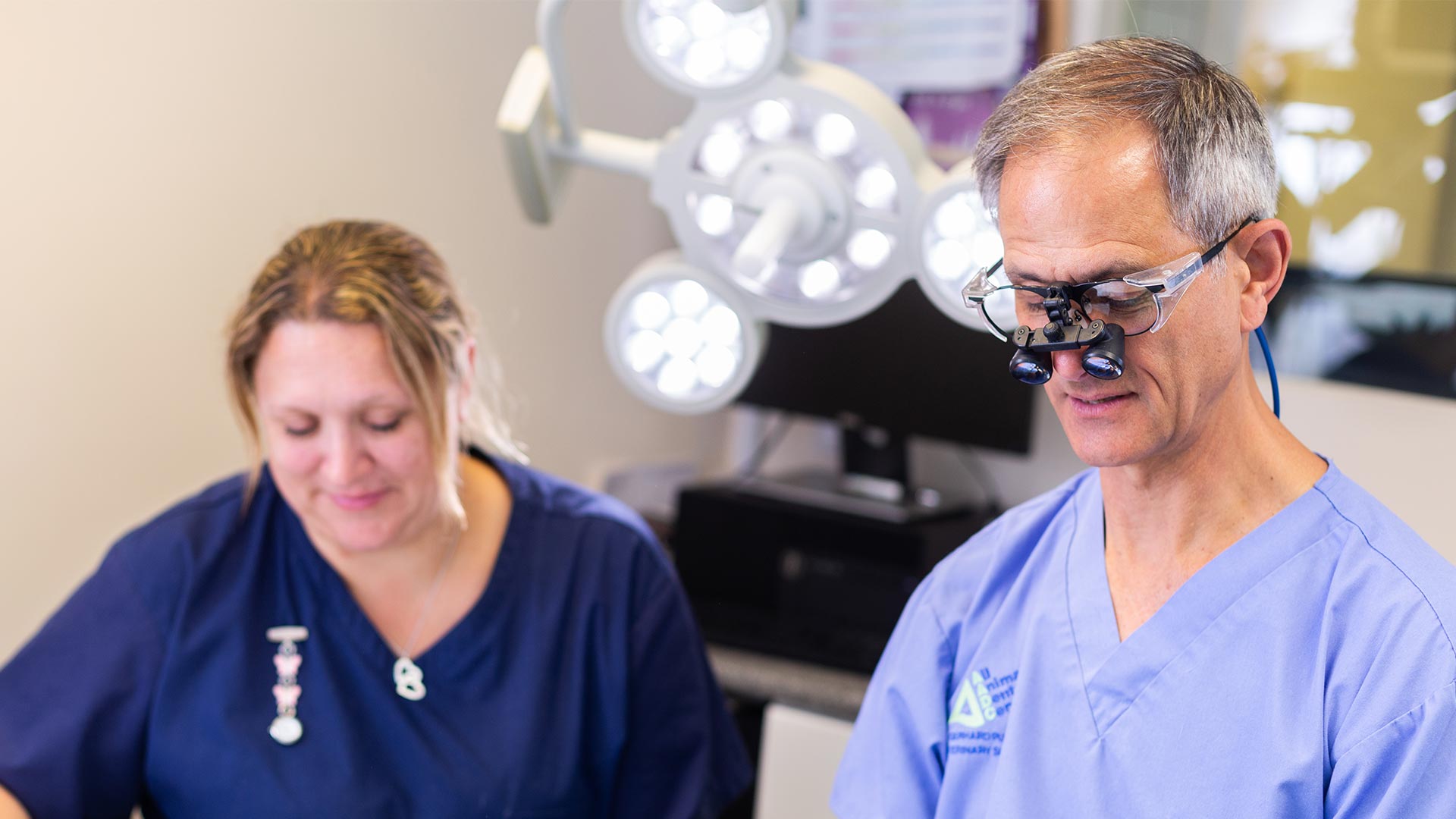 About us Local Vets in Sudbury, Peterborough, Specialist