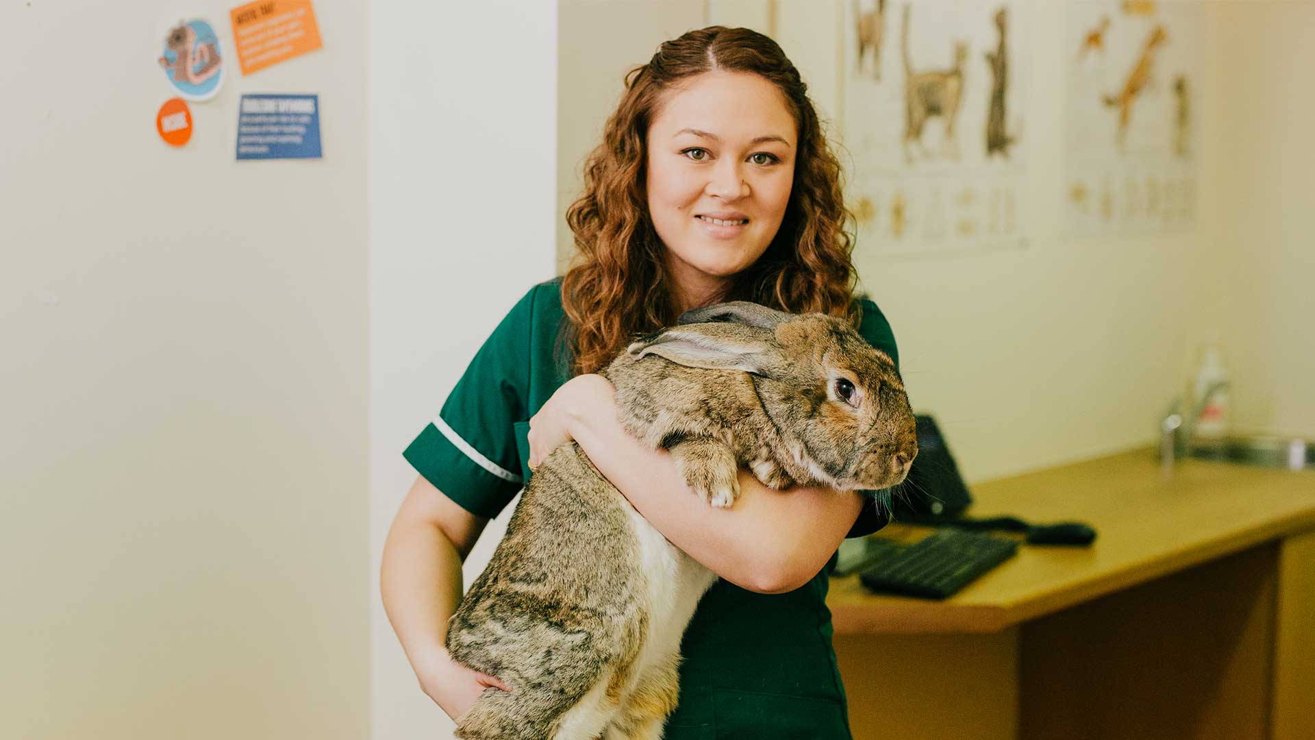Pet Advice from Vets in Kilmarnock Station Veterinary Surgery
