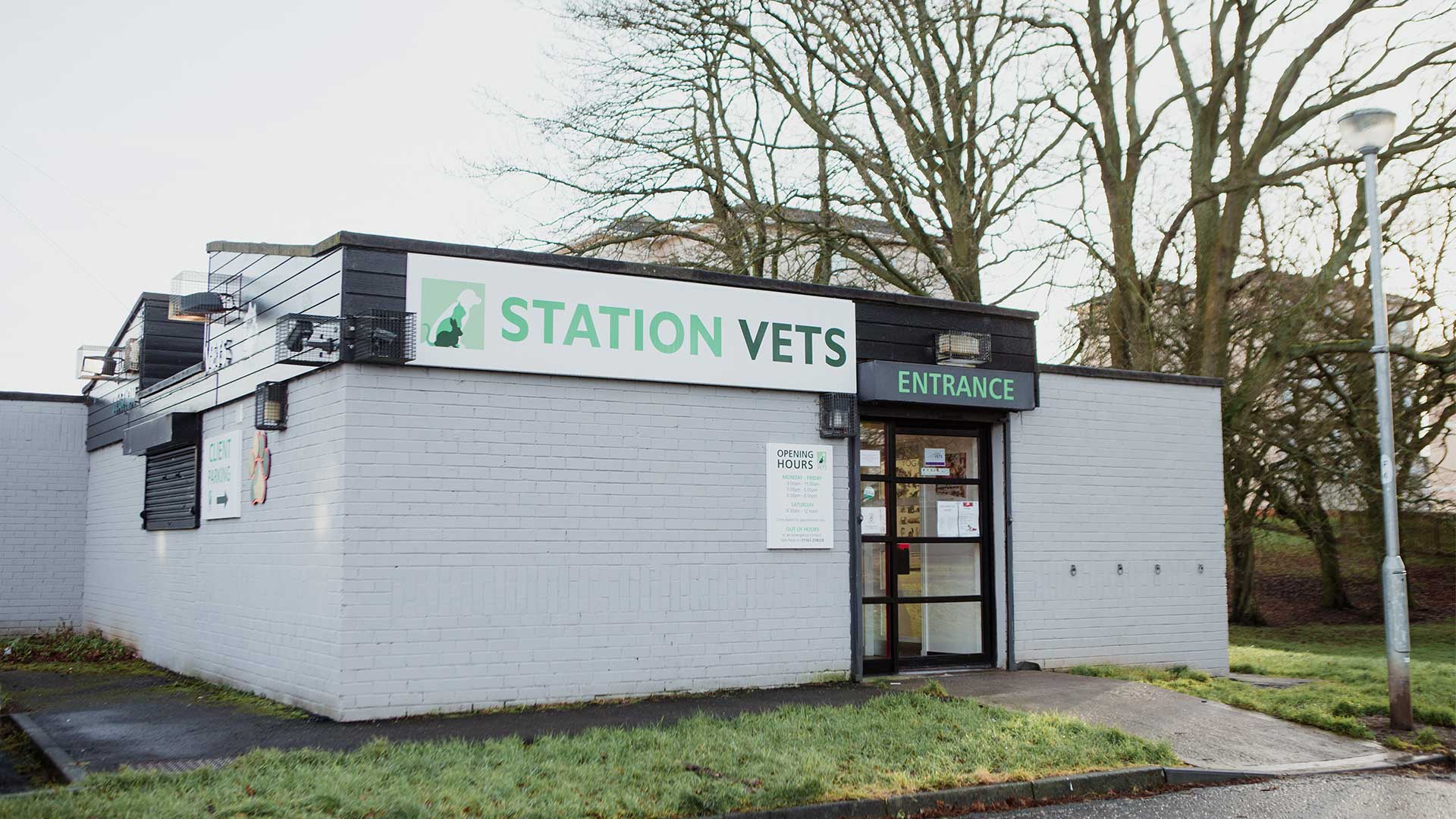 About Station Vets Your Local Vet Station Veterinary Surgery