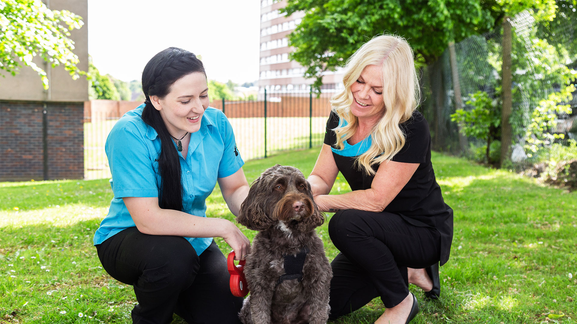 Vets 2 You (Home Visit Service) at St George's Vets | What Can We Do