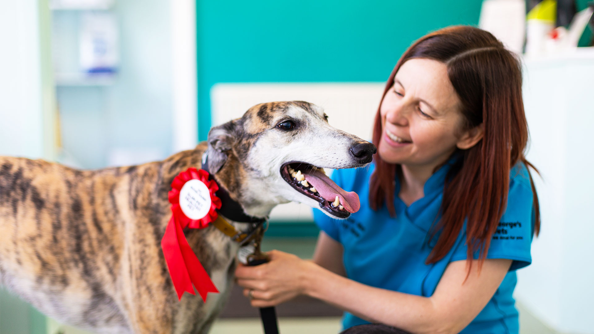 The Team at St George's Vets | We Excel for You! Our Clinical Directors ...