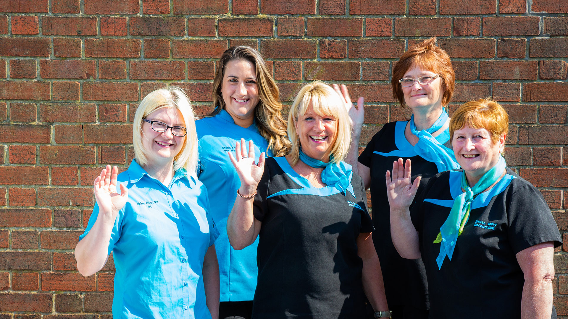 Contacting St Vets Our Relevant Information St Vets