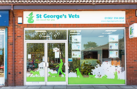 24 hour vet st george area
