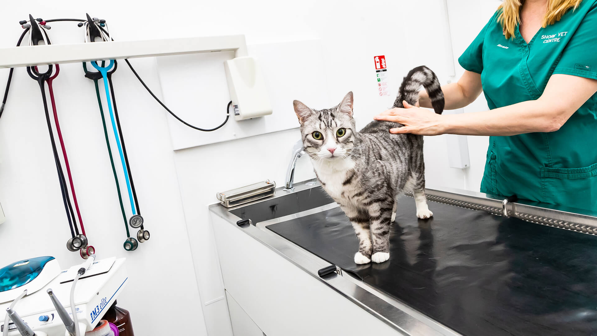 Veterinary Services Local Vets in Tamworth St Mary's Vets Tamworth