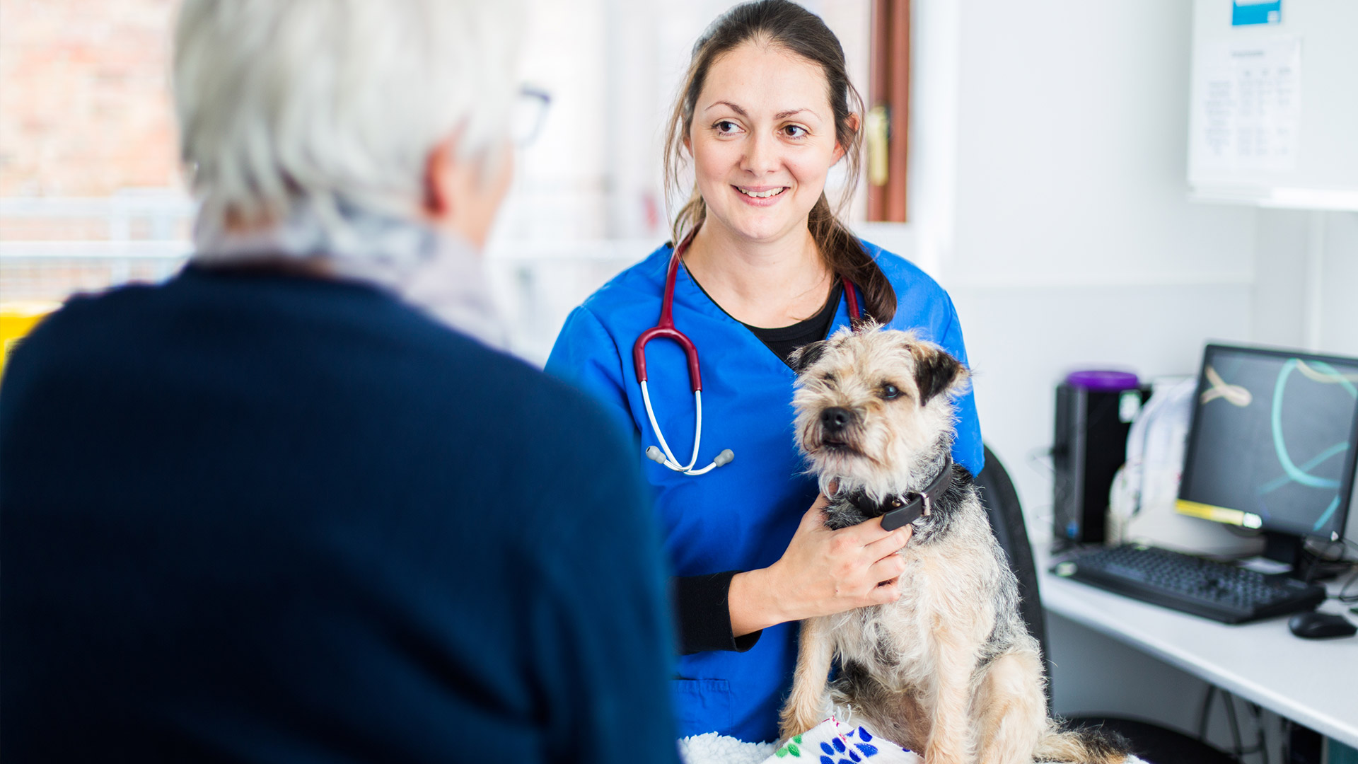 Pet Advice | Local Vets in Upton upon Severn and Worcester - Stocks Vets