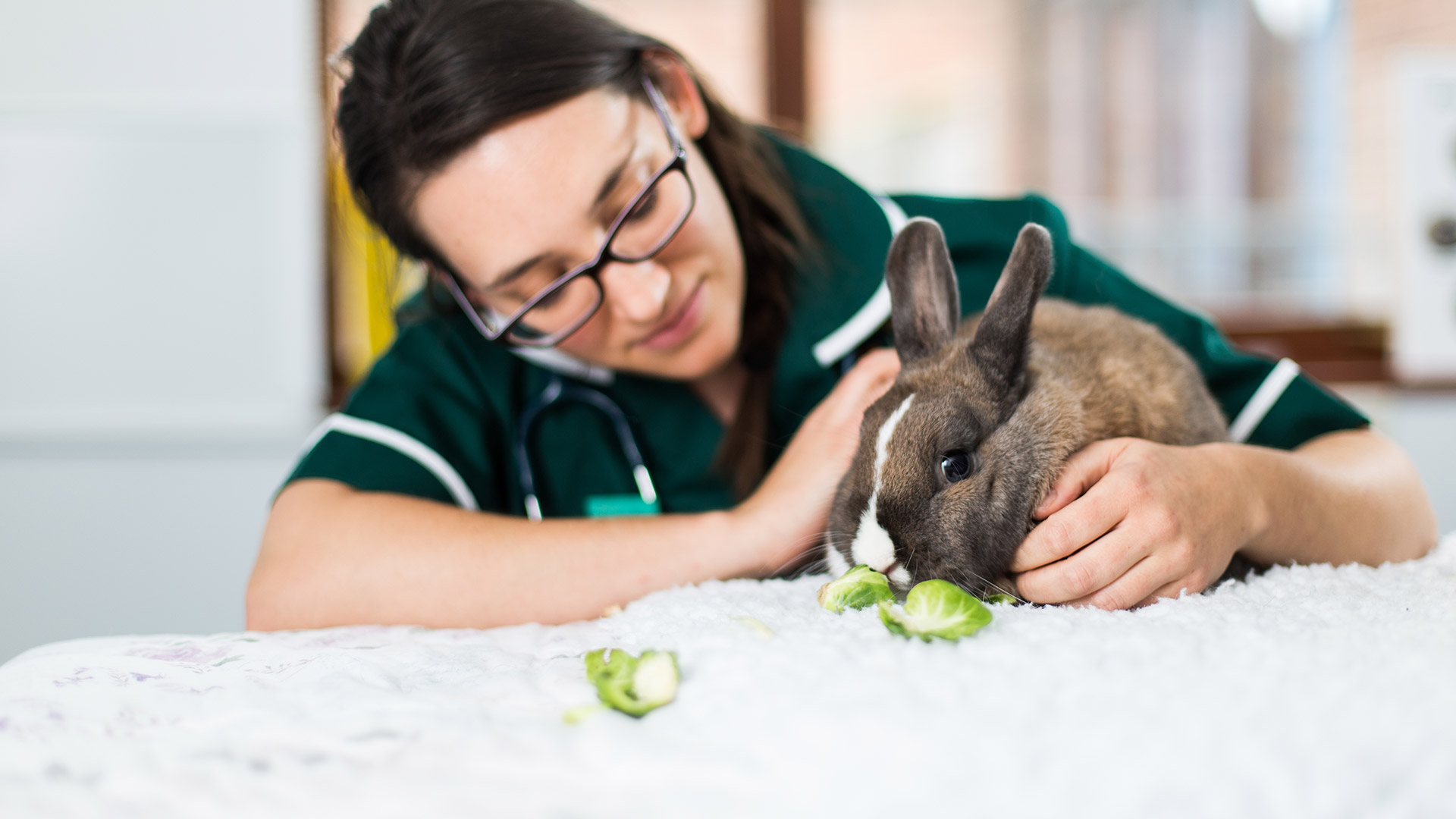 Price List Vet Prices in Upton upon Severn & Worcester Stocks Vets