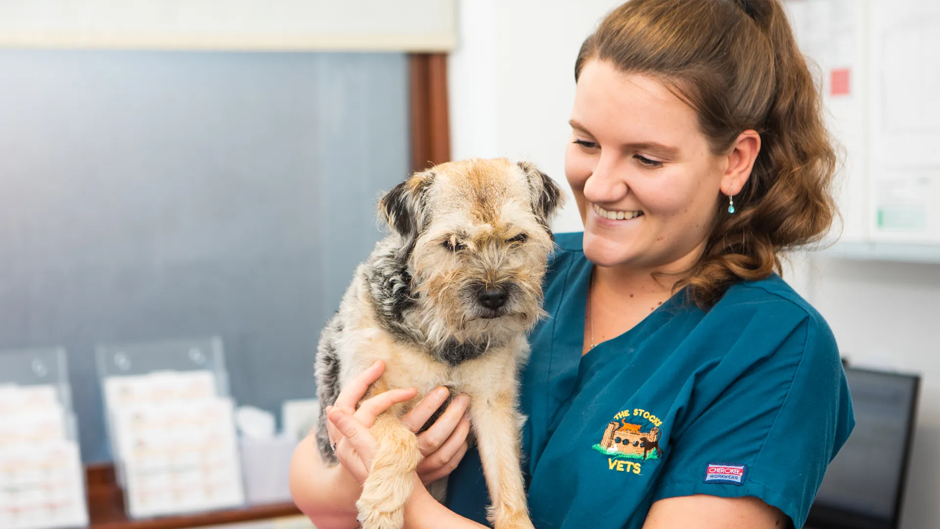 Contact us | Local Vets in Upton upon Severn and Worcester - Stocks Vets