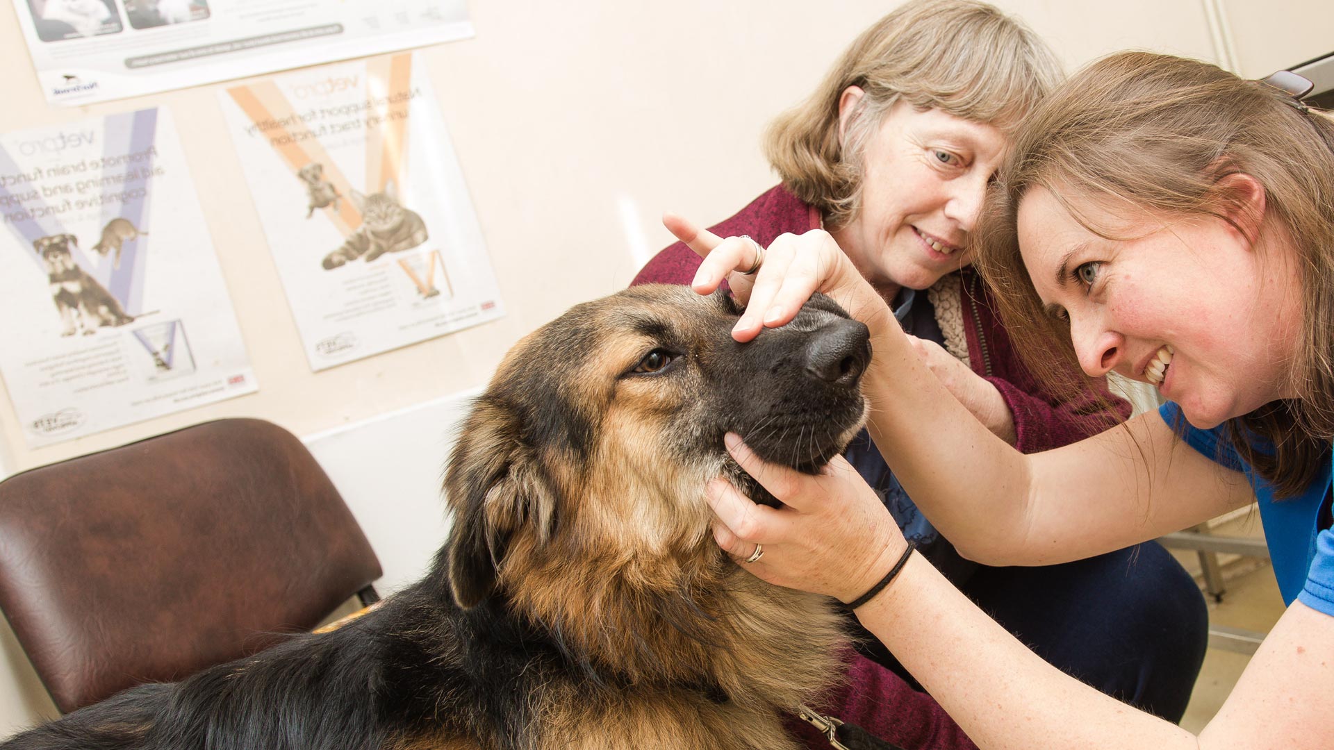 Blog Local Vets in Stokesley Stokesley Vet Practice