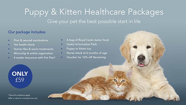 puppy pack vets near me