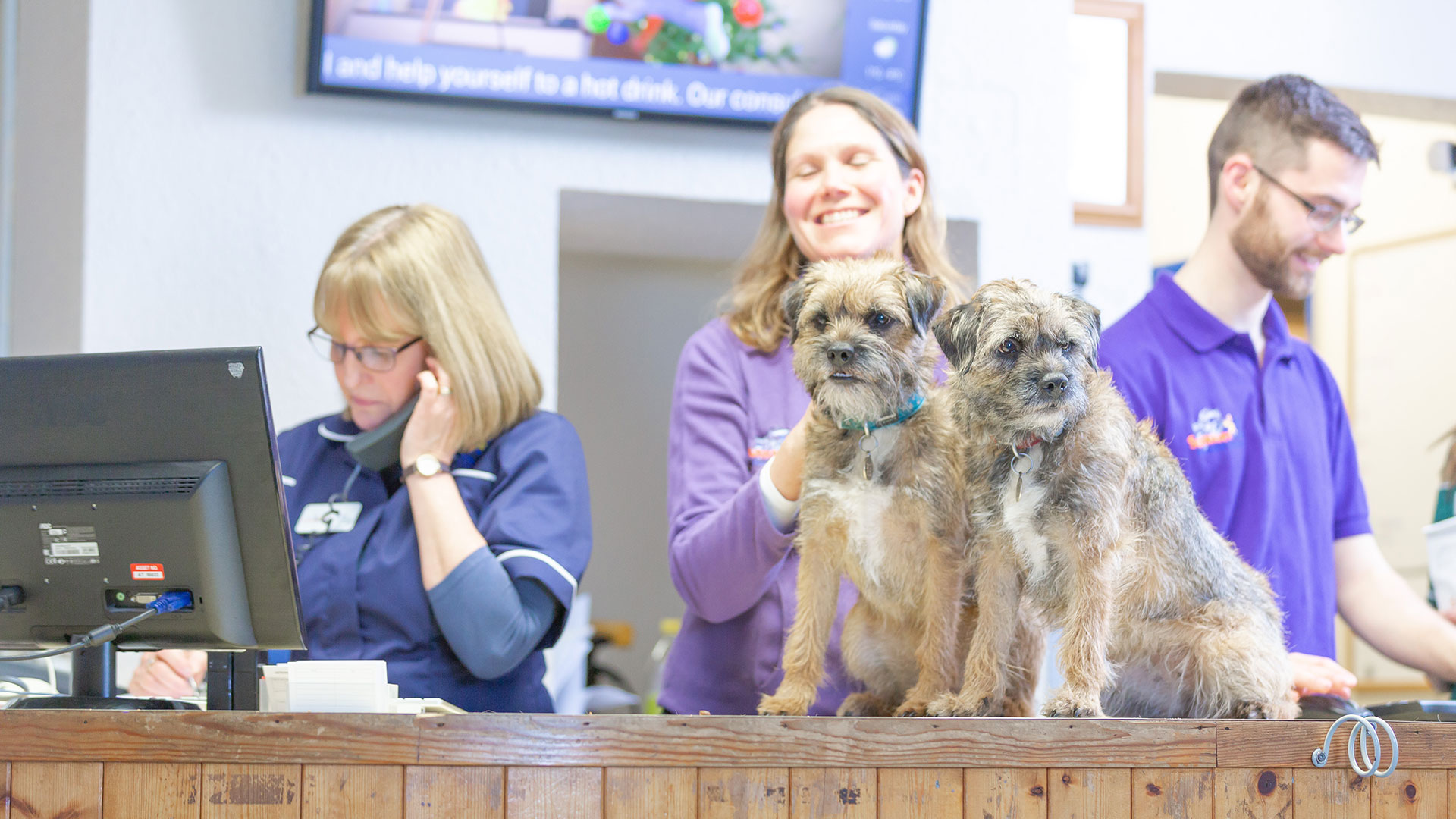 Our Practice Your Local Vet Summerhill Vets, Norfolk